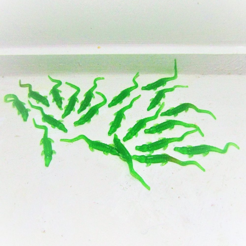 Green Gummy Crocodile Floating Bait